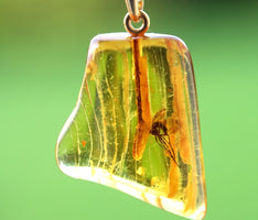 Amber pendant with a embedded insect on a green background