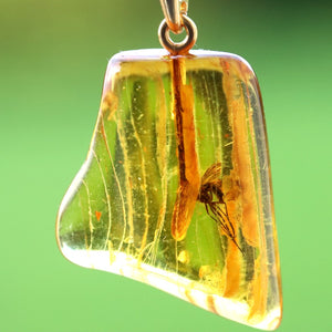 Amber pendant with a embedded insect on a green background