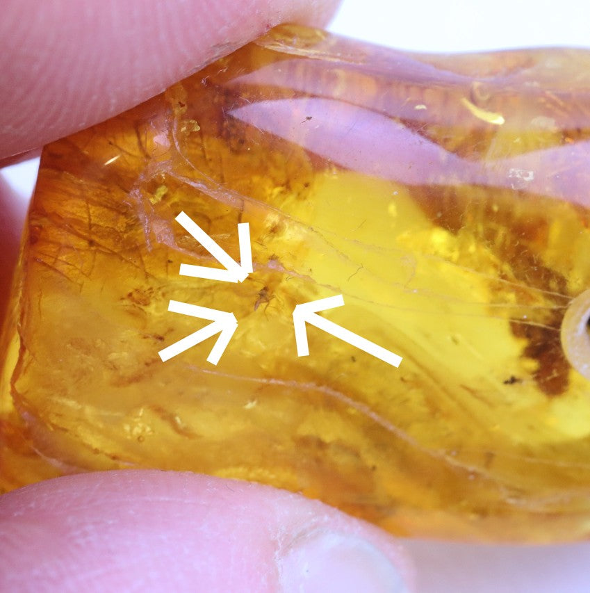 Baltic Amber Amulet with Insect Inclusion | 40 Million Year Old Fossil Resin from Eocene Era