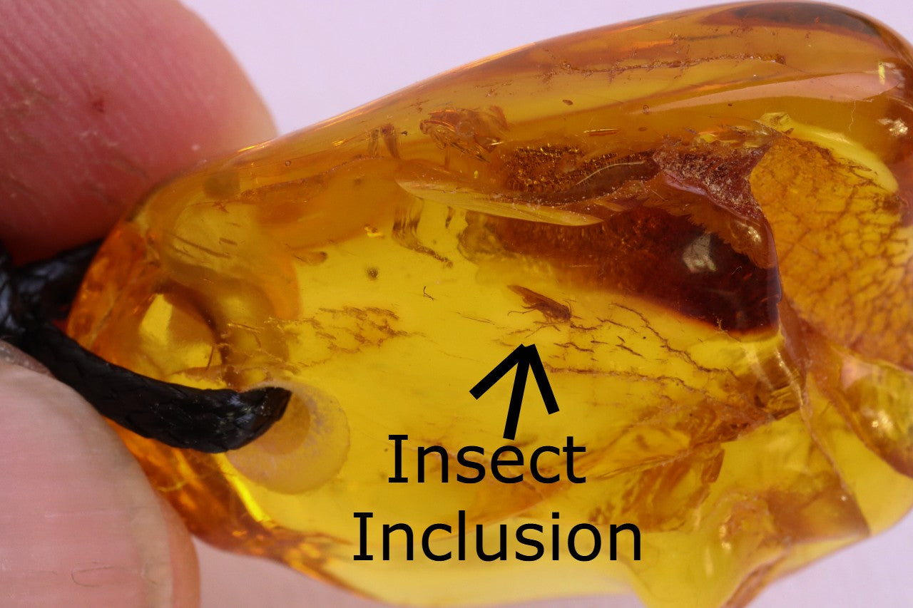 Baltic Amber Amulet with Insect Inclusion