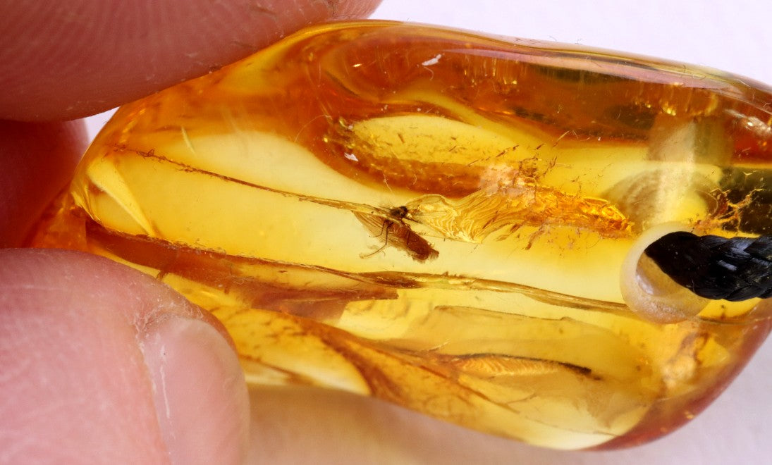 Natural Insect Inclusion Amulet