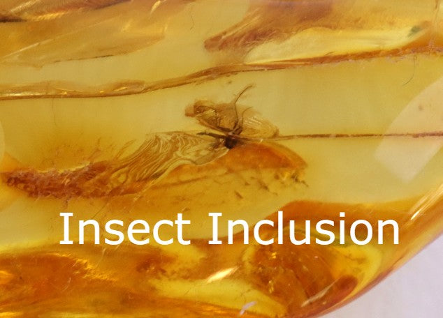 Natural Insect Inclusion Amulet