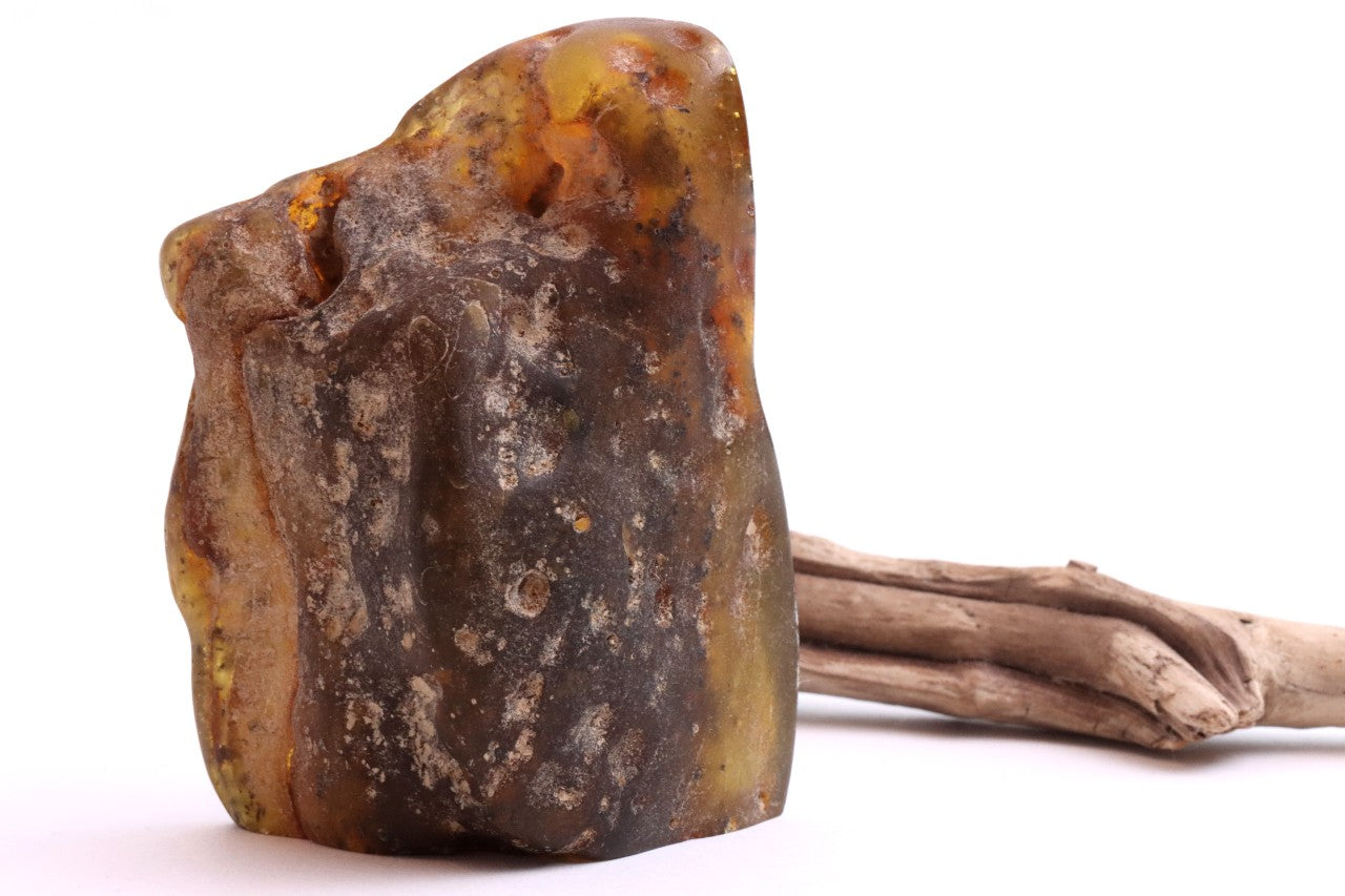 Grade AAA Baltic Amber Collector’s Gemstone