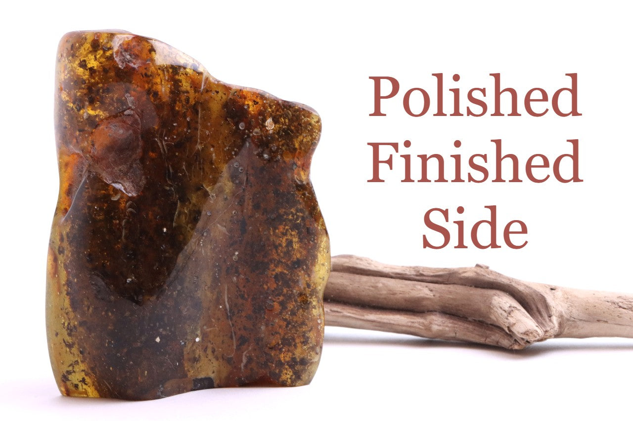 Grade AAA Baltic Amber Collector’s Gemstone