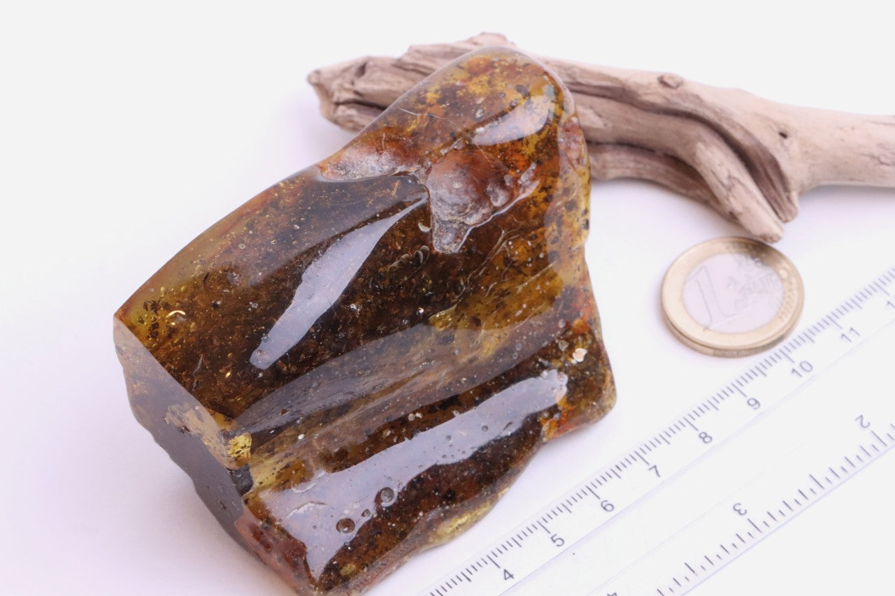 Grade AAA Baltic Amber Collector’s Gemstone