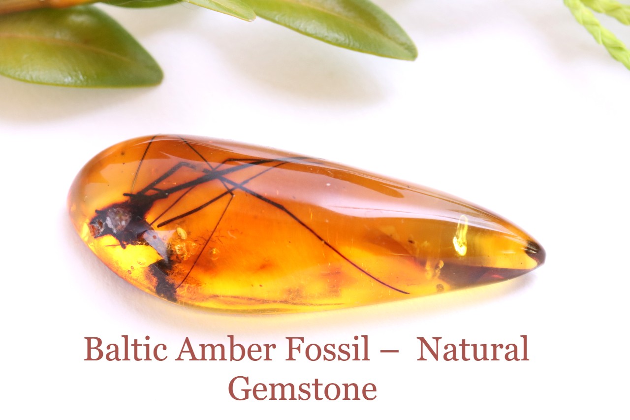 Baltic Amber with Insect Inclusion