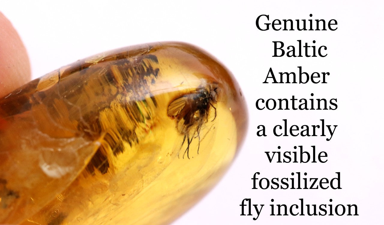 Baltic Amber with Visible Fly Inclusion