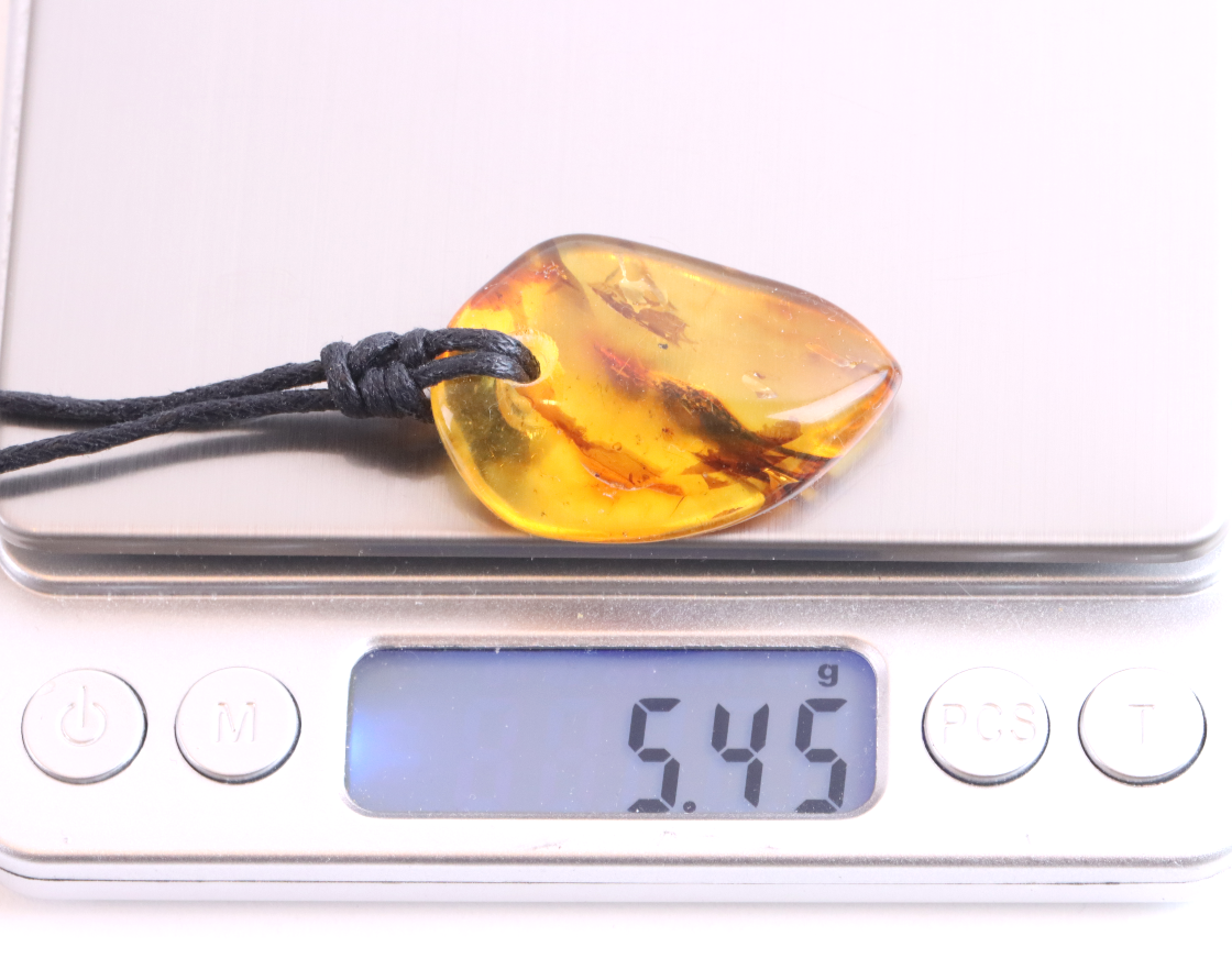 Baltic Amber Amulet, Carry the sun’s warmth and nature’s power wherever you go.