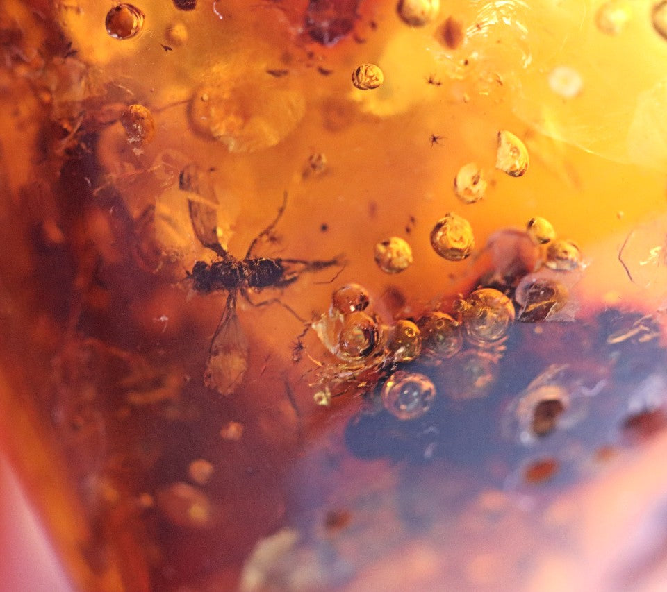 Unique Piece Of Amber With Air Bubbles and 2 X Insect Inclusions