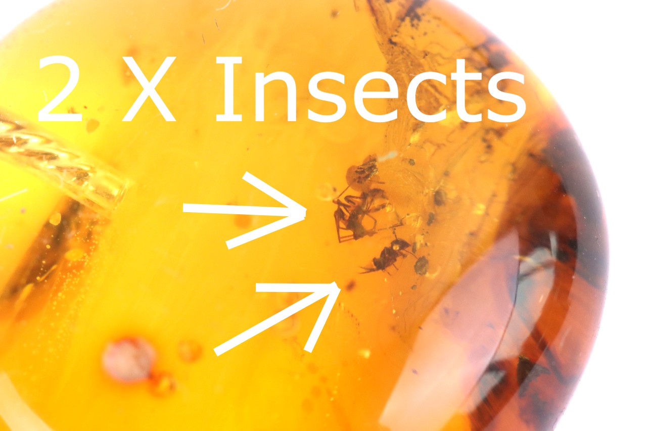 Sterling Silver Baltic Amber Pendant with 2 X Insect