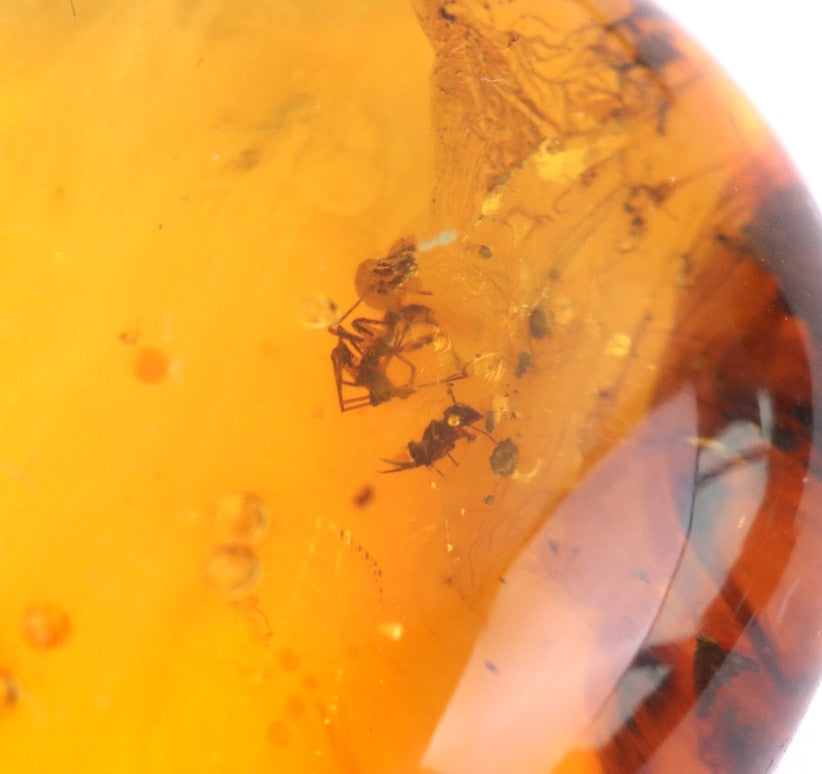 Sterling Silver Baltic Amber Pendant with 2 X Insect