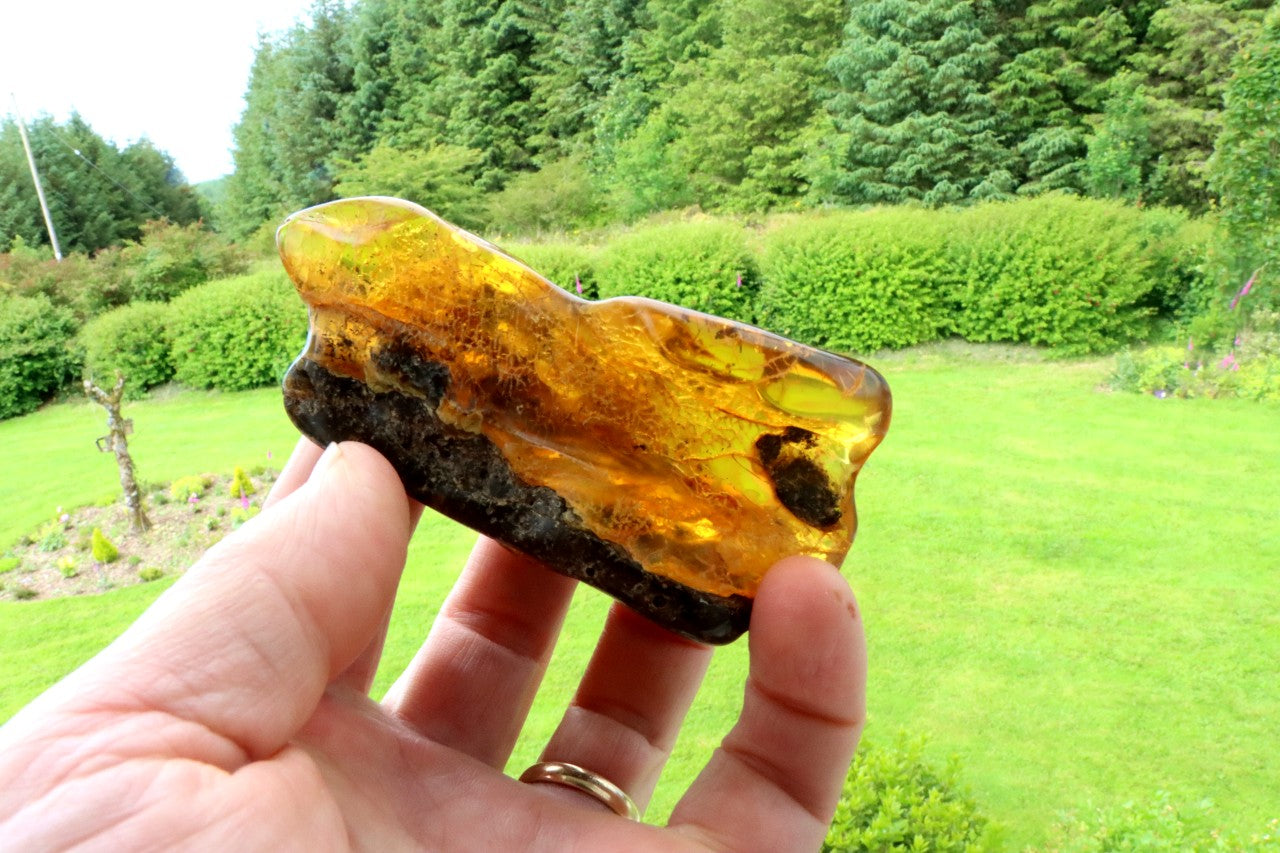 40 Million-Year-Old Baltic Amber Gemstone