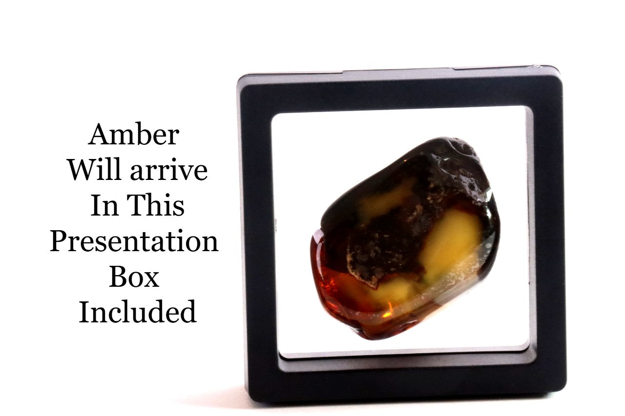 Unique Baltic Amber Gemstone Presentation Box Included