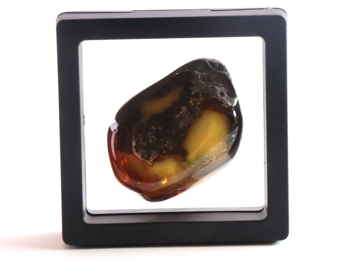 Unique Baltic Amber Gemstone Presentation Box Included