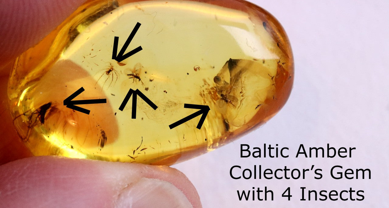 Baltic Amber Collector’s Gem with 4 Insects in this piece