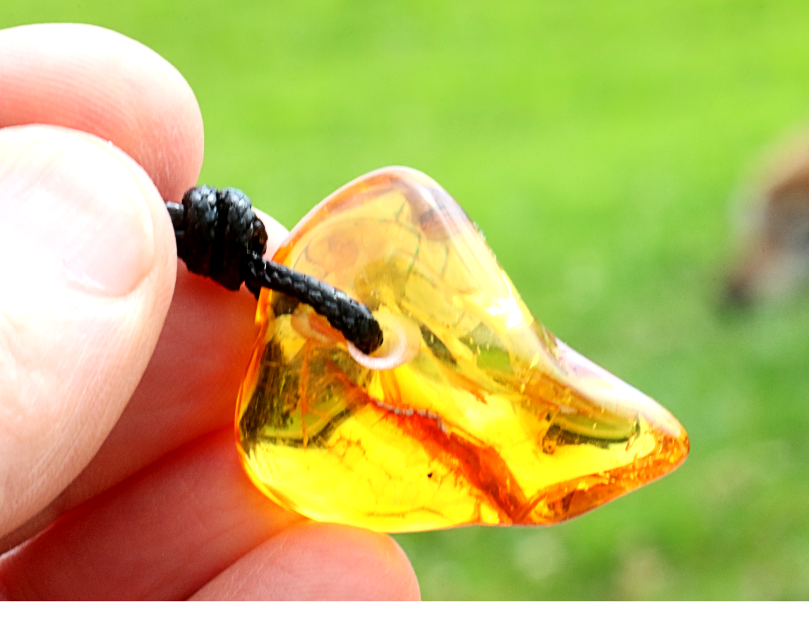 Baltic Amber Gem with Insect Inclusion Amulet