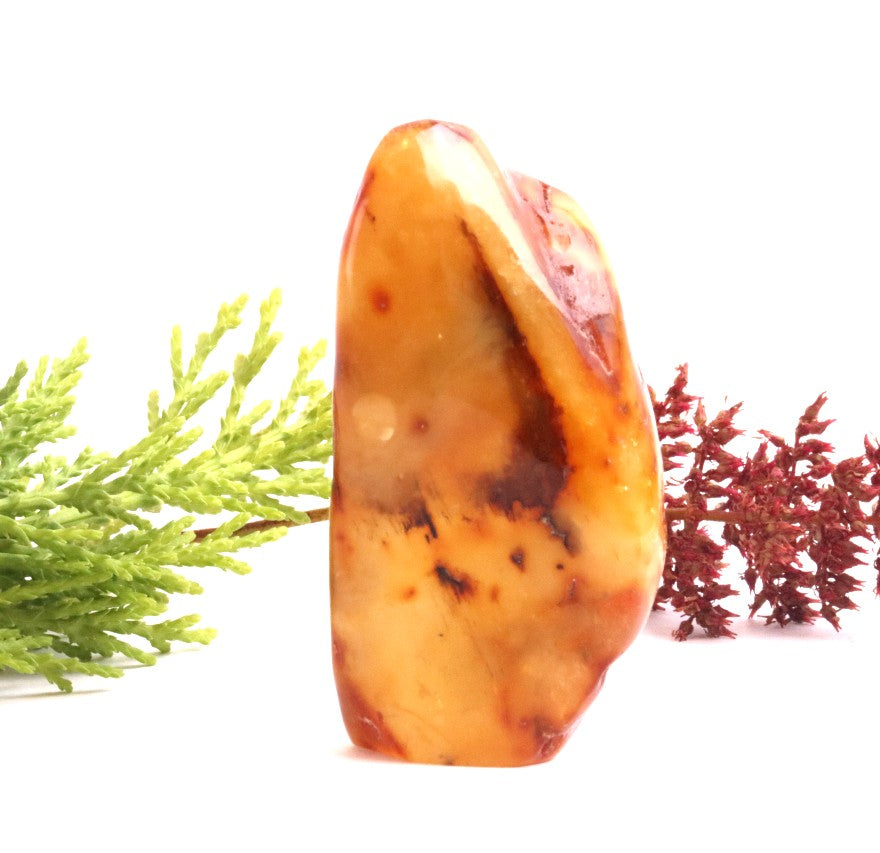 Smooth Natural Baltic Amber Gemstone