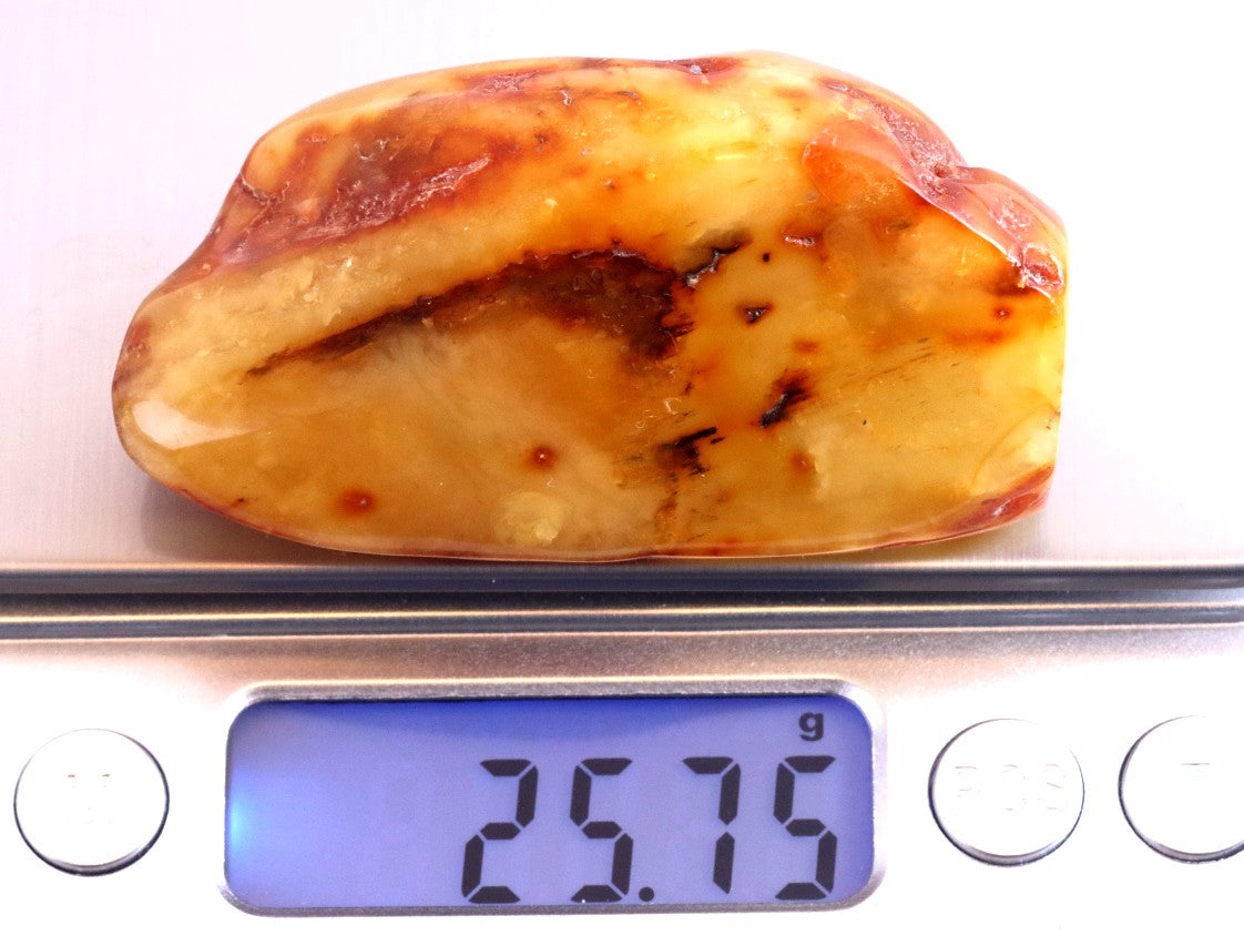 Smooth Natural Baltic Amber Gemstone