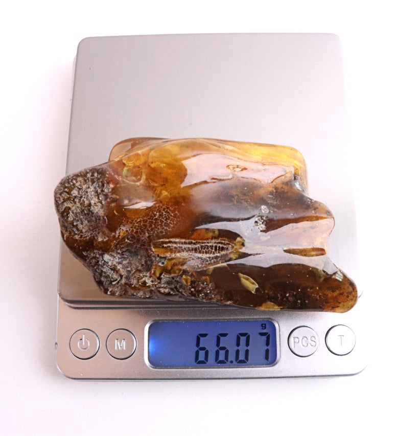 Unique Baltic Amber Stone | Natural Fossilised Amber  Resin Gem ~40 Million Years Old