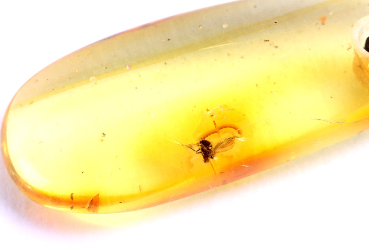 Baltic Amber Amulet Pendant with Insect Inclusion