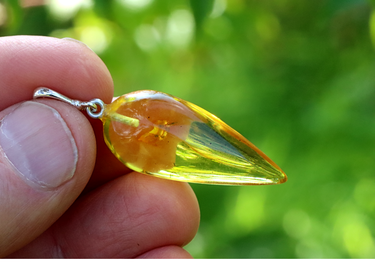 Genuine Baltic Amber Pendant with Insect