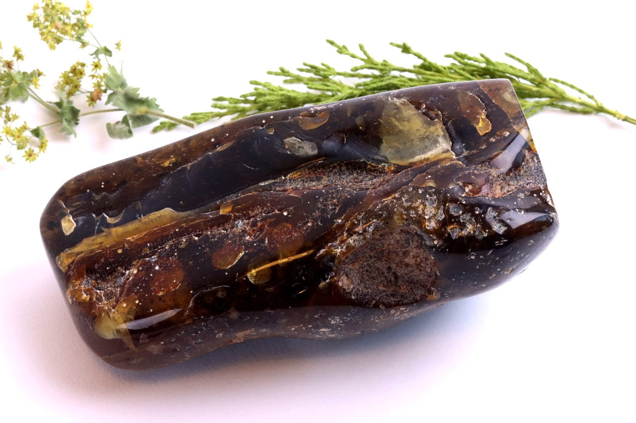 Unbelievable Large 173g Baltic Amber Collector's Gem