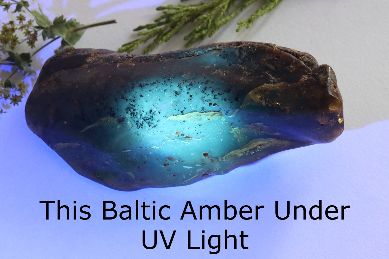 Large Baltic Amber Gem Natural Quirky Gemstone