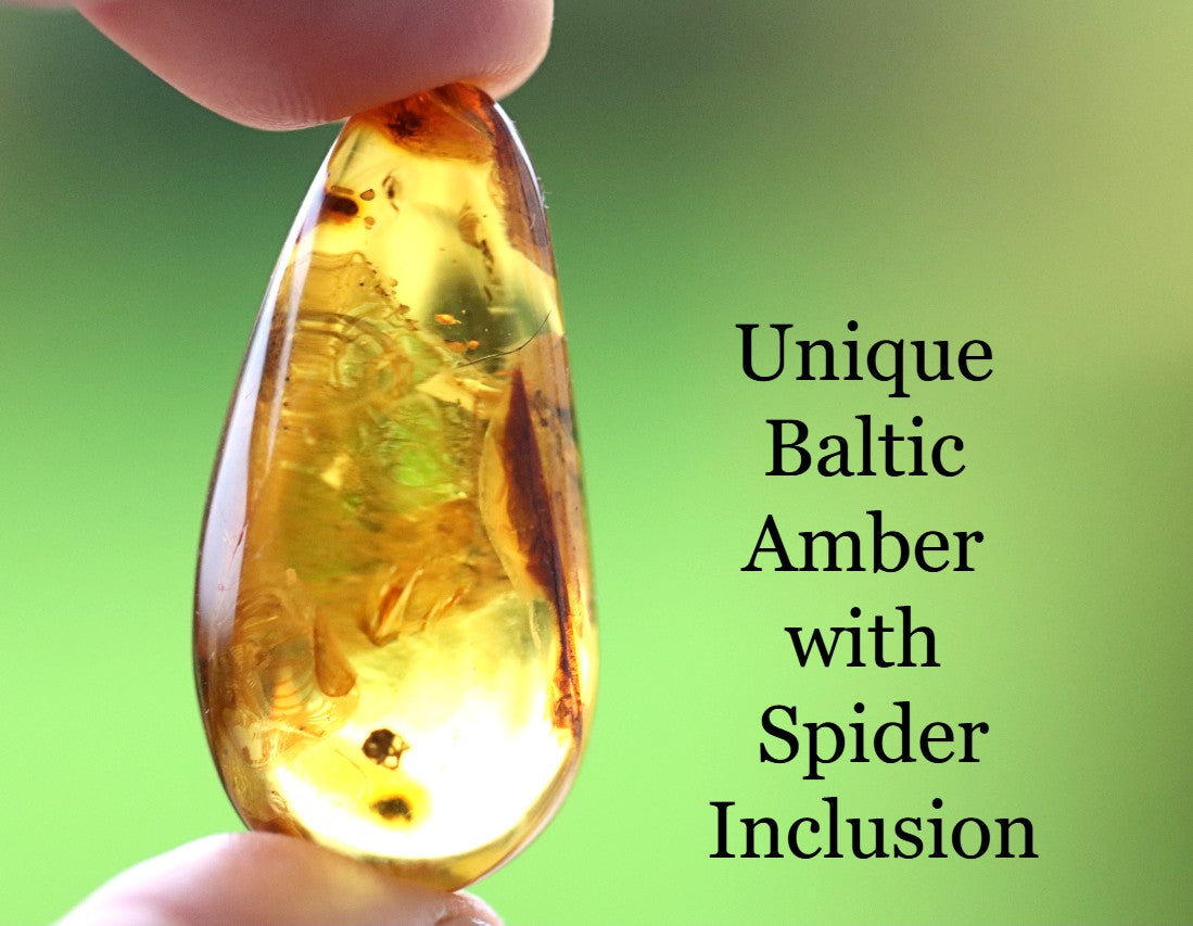 Unique Baltic Amber with Spider Inclusion