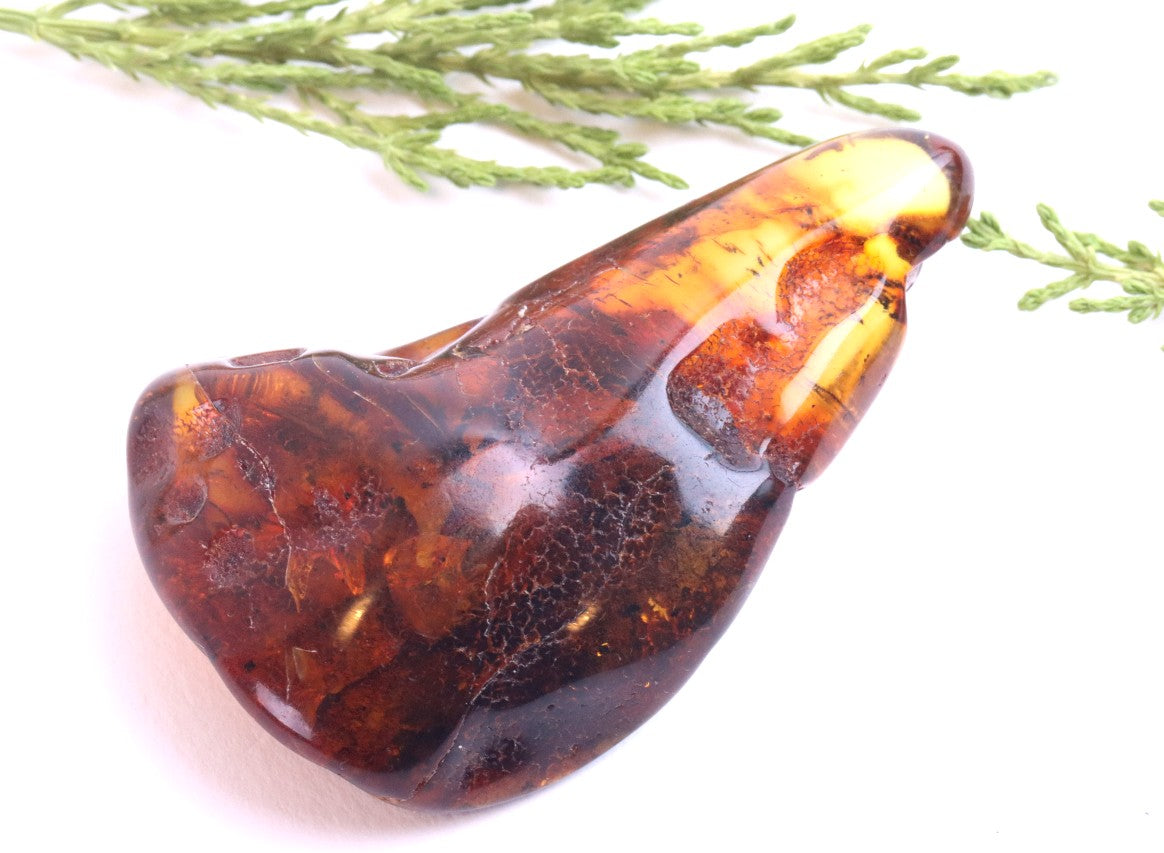 Baltic Amber Gemstone | Natural Amber for Protection and Luck