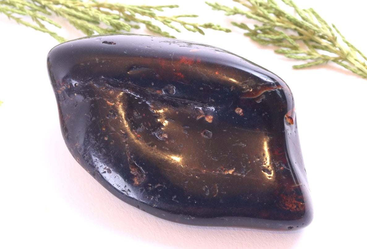Large Tumbled Baltic Amber Gemstone – Genuine 40 Million Year Old Fossil Resin
