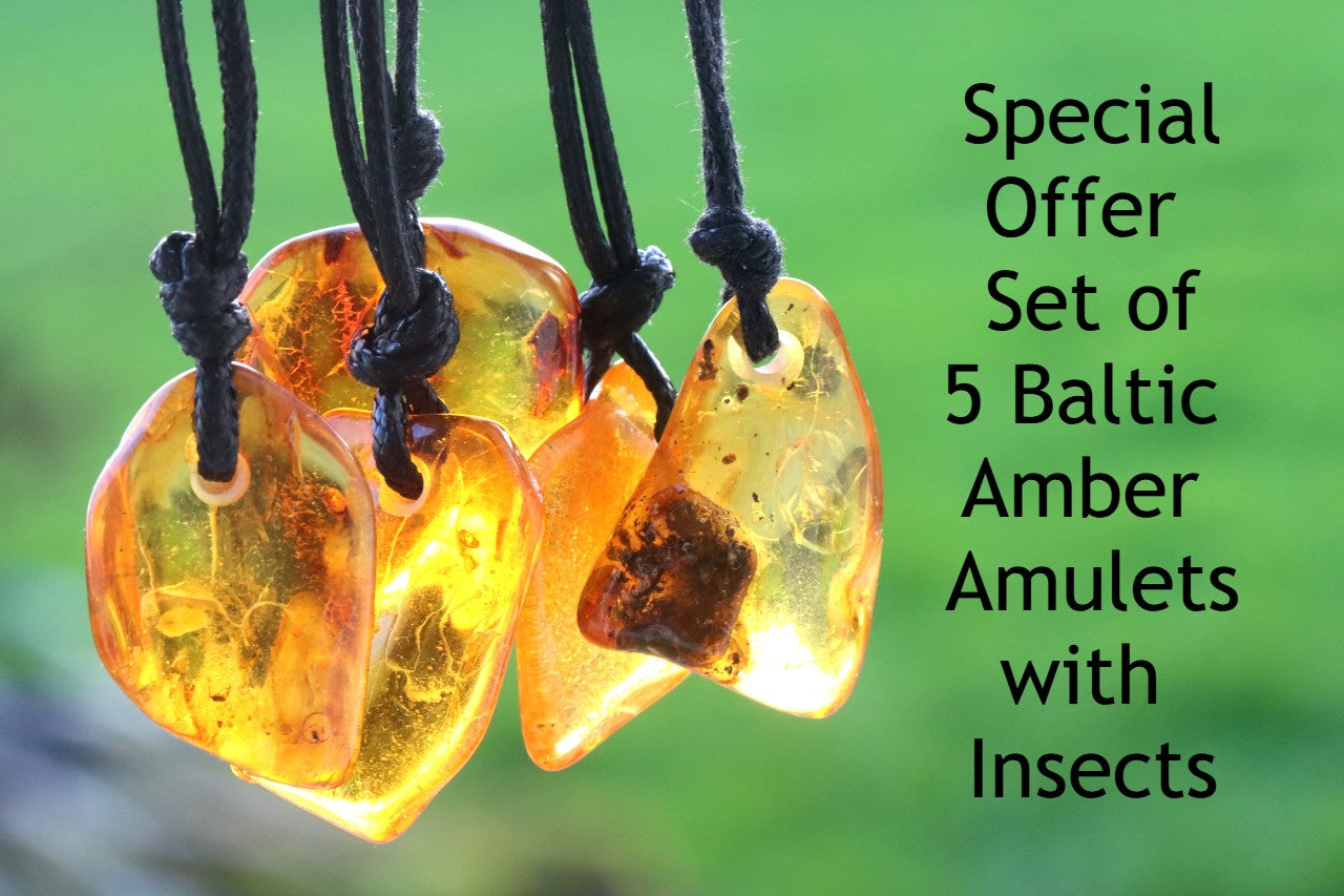 Special Offer – Set of 5 Baltic Amber Amulets with Insects
