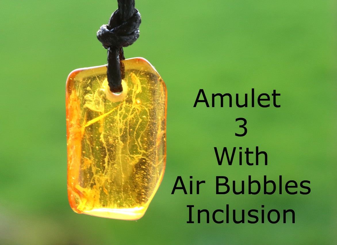 Special Offer – Set of 5 Baltic Amber Amulets with Insects