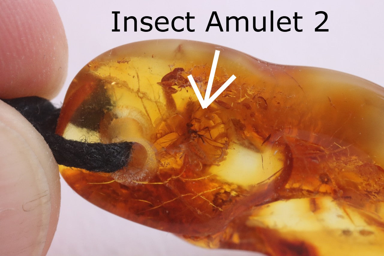 Special Offer – 2 Amber Amulet Pendants with Insect Inclusions