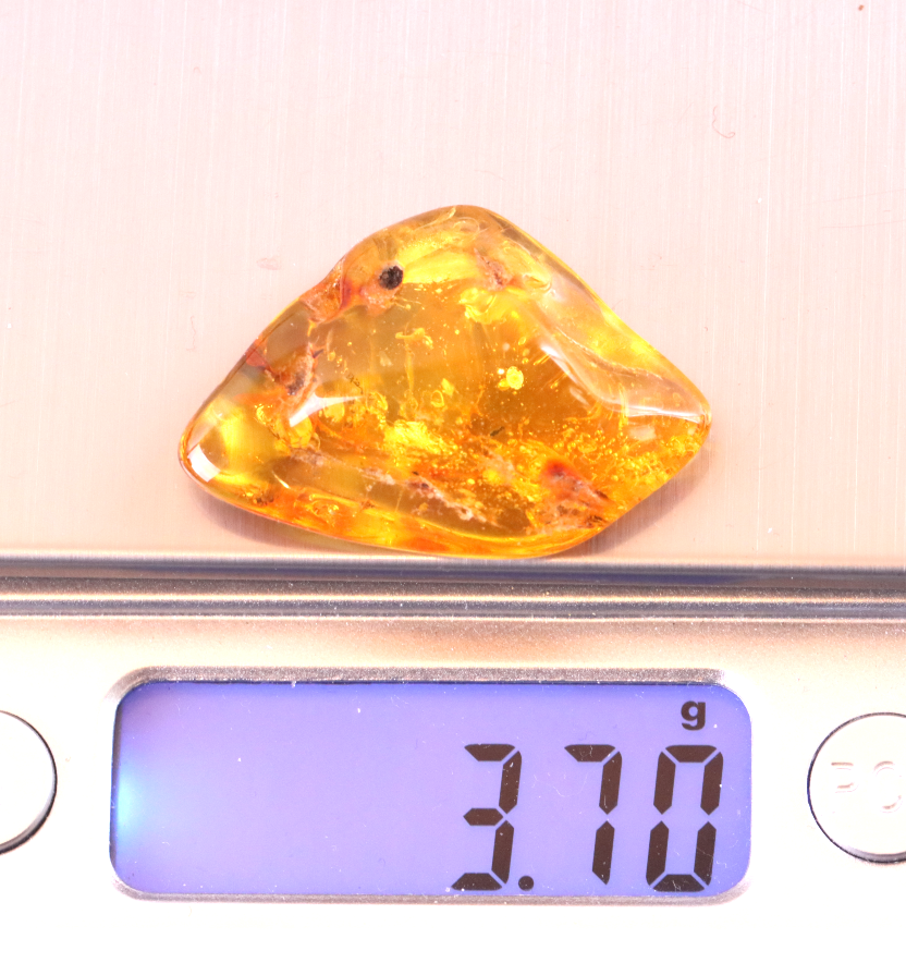Baltic Amber with Small Spider Inclusion