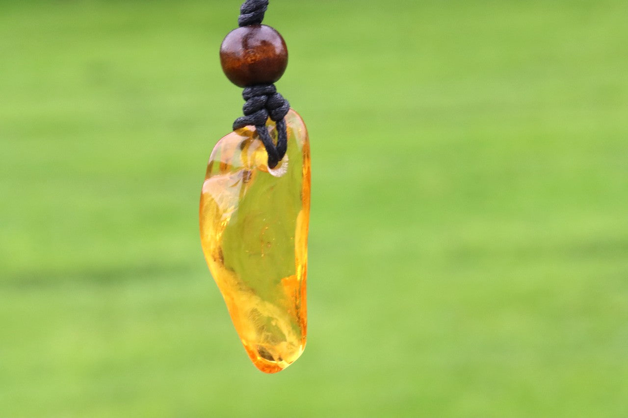 Baltic Amber Amulet with 3 Insect Inclusions & Wooden Bead –