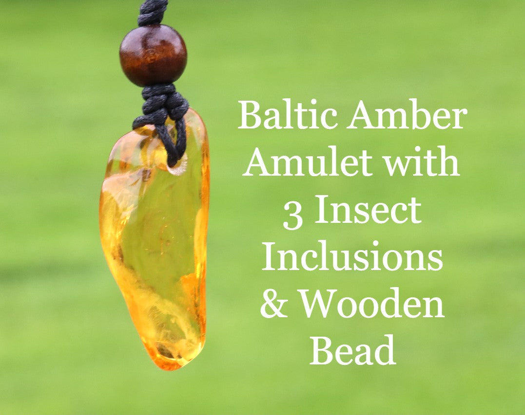 Baltic Amber Amulet with 3 Insect Inclusions & Wooden Bead –