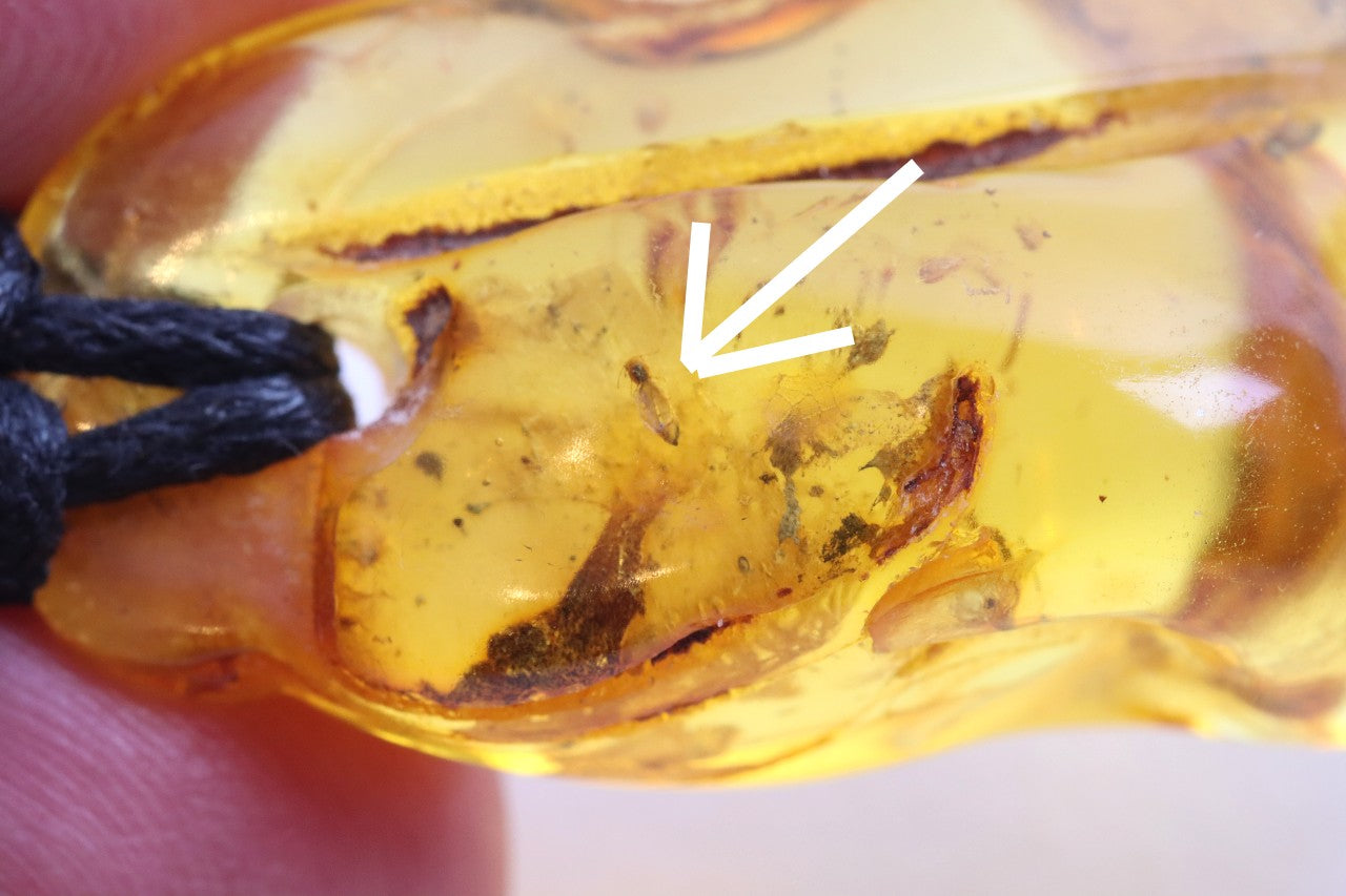 Baltic Amber Amulet with 5 Insect Inclusions & Wooden Bead