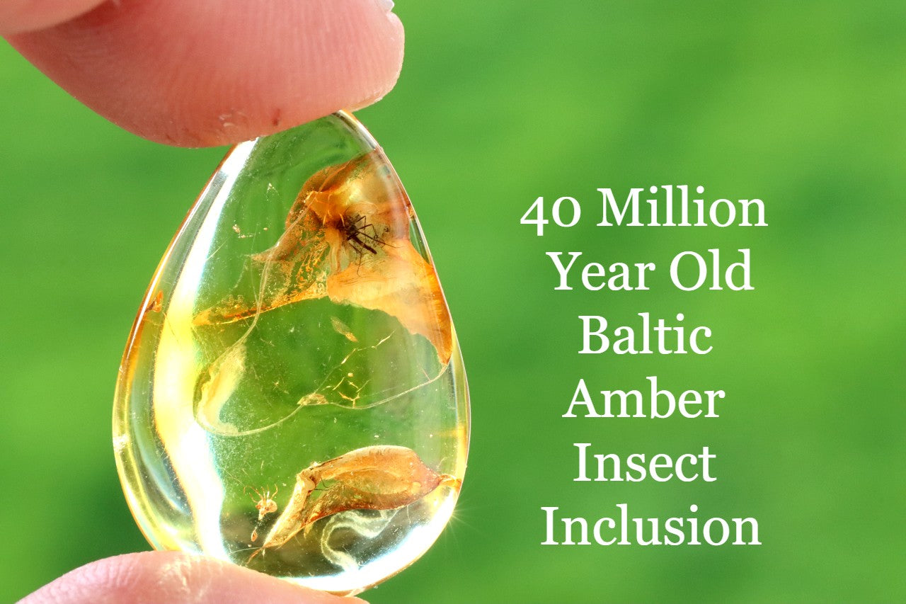Teardrop-shaped Amber Gem with embedded insect inclusion held by a hand against a green background.