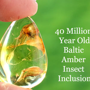 Teardrop-shaped Amber Gem with embedded insect inclusion held by a hand against a green background.