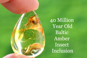 Teardrop-shaped Amber Gem with embedded insect inclusion held by a hand against a green background.