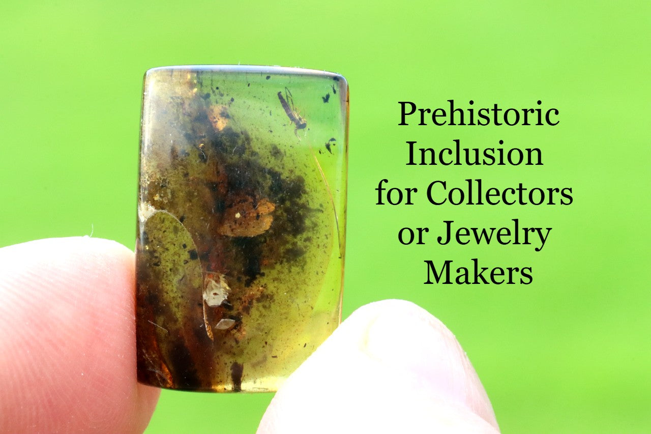 Prehistoric insect in amber inclusion held between fingers with text on a green background