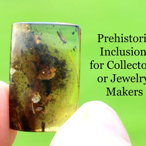Prehistoric insect in amber inclusion held between fingers with text on a green background