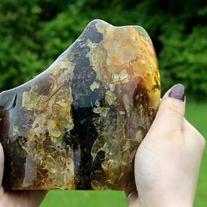 Person holding a large, polished stone with a natural pattern against a blurred green outdoor background.