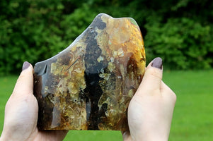 Person holding a large, polished stone with a natural pattern against a blurred green outdoor background.