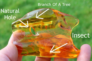 Large amber gem with inclusion