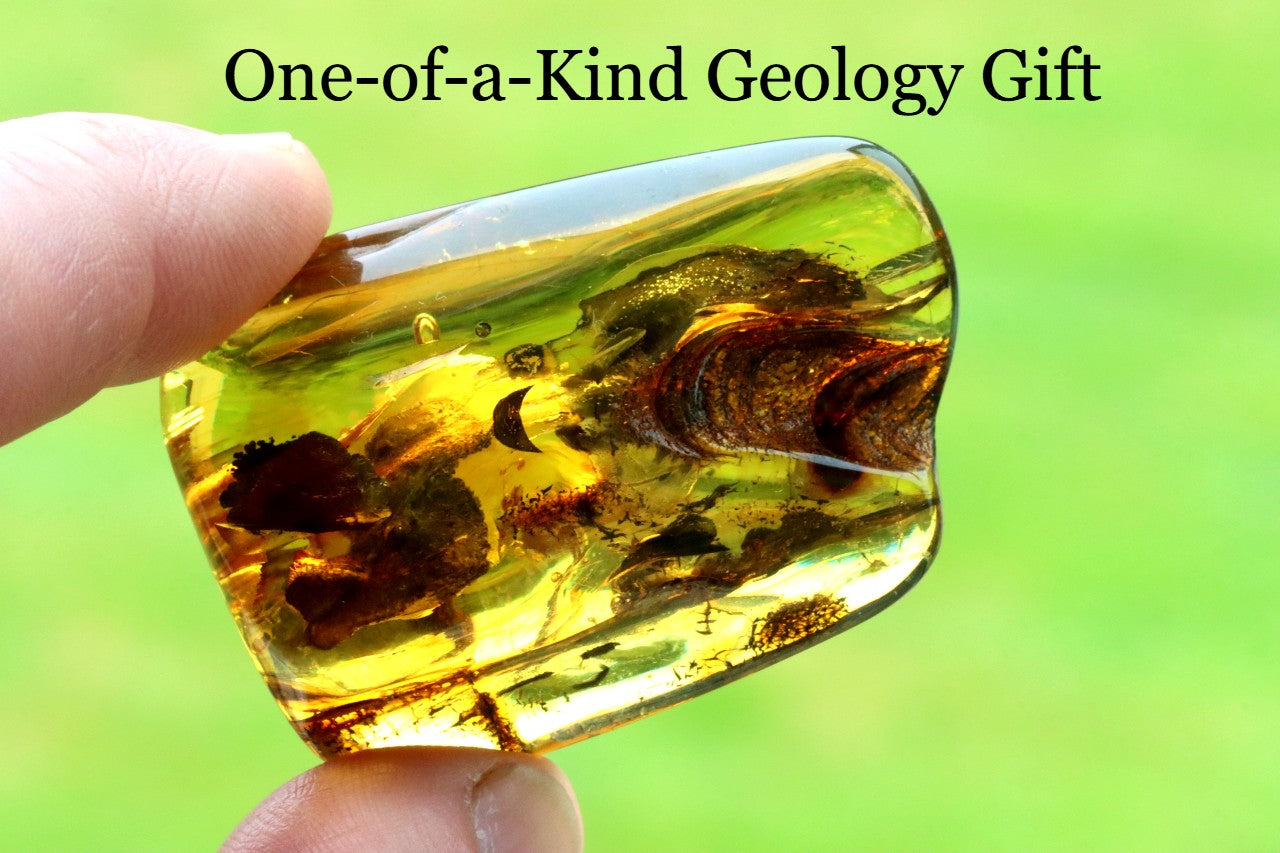Transparent amber stone with embedded life held by a hand against a green background, labeled 'One-of-a-Kind Geology Gift'.