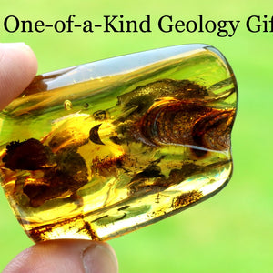 Transparent amber stone with embedded life held by a hand against a green background, labeled 'One-of-a-Kind Geology Gift'.