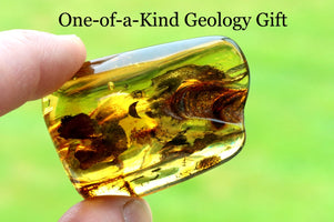 Transparent amber stone with embedded life held by a hand against a green background, labeled 'One-of-a-Kind Geology Gift'.