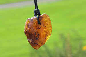 A raw, polished amber stone pendant with a black cord, shown in sharp focus against a blurred green outdoor background.