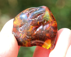 Amber stone with a embedded insect held between fingers against a blurred green background